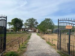 -DORA kids 朵拉儿童摄影花园店