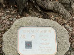 -上海佘山国家森林公园天马山园