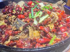 -老板恋上鱼(恒隆广场店)