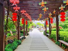 -白马涧龙池景区