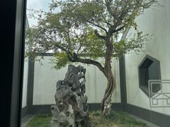 -苏州园林博物馆
