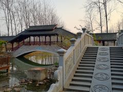 -合肥滨湖国家森林公园