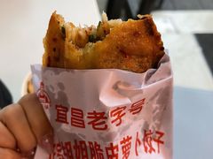 -半月镰胡姐脆皮萝卜饺子