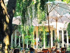 -Fern Forest Cafe
