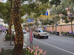 -叶家花园
