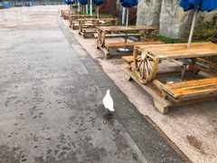 -海昌极光餐厅