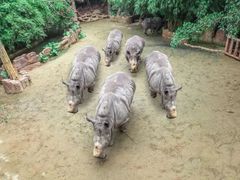 -长鹿旅游休博园