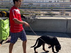 -哈桑二世清真寺