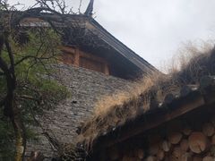 -田德能咖啡博物馆