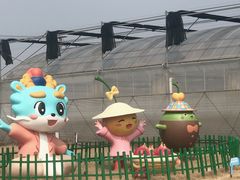 -菊园百果园