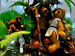 -济州岛泰迪熊博物馆