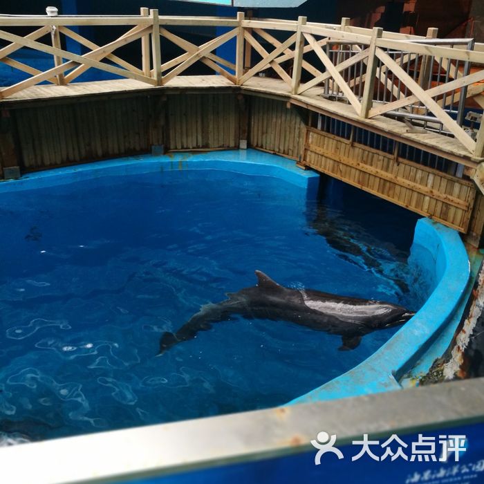 成都海昌極地海洋公園圖片-北京海洋館-大眾點評網