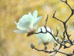 -烈士陵园(地铁站)