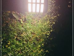 -英德宝晶宫天鹅湖茶语温泉