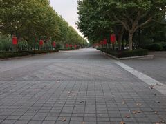 -东华大学(松江校区)