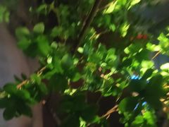 -唐宫足道·SPA·住宿24H会所(木渎店)