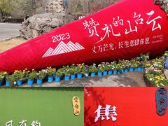 -云台山风景名胜区