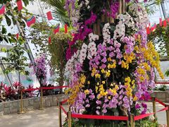 -北京植物园-展览温室