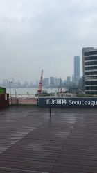 -上海首尔丽格医疗美容医院