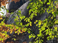 -吉林市朱雀山国家森林公园