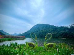 -广州市石门国家森林公园