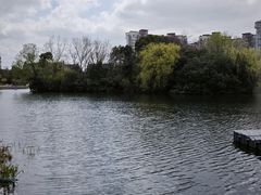 -SMP滑板公园