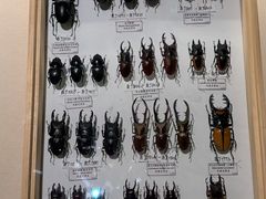 -广东省博物馆