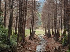 -广州市白云山风景名胜区