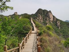 -大岭沟猕猴桃谷风景区