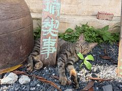 -黟县屏山村