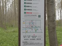 -黄海国家森林公园
