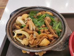 鲈鱼煲-芙蓉餐厅(厦大店)