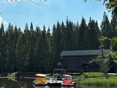 -黄海国家森林公园