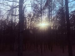 -莫尔道嘎国家森林公园