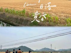 -李东农庄(中南百草园地标店)