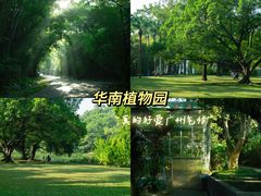 -中国科学院华南植物园