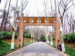 -灵谷景区