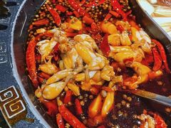 -销魂美蛙鱼头火锅(上海首店)
