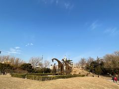-莲花池公园