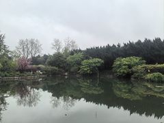-嘉定紫藤园