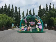 -黄海国家森林公园