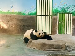 -安吉竹博园