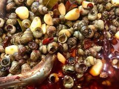 田螺-觅姐麻辣烫(安定门店)