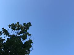 -营口金泰珑悦海景大酒店