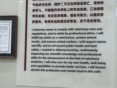 -御宝贝24h宠物医院·转诊中心·CT核磁血透中心(厦门总院)