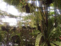 -Fern Forest Cafe