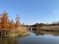 -同里国家湿地公园