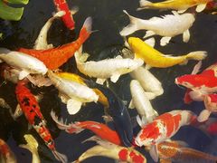 -聚福宝合苑食府(南头镇店)