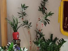 -修申骨雕小颜脊柱骨盆管理产后修复