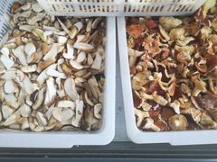 -野生菌火锅(菌王村店)